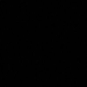 Meet your Posher, Ariana